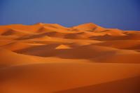 The Sahara Desert
